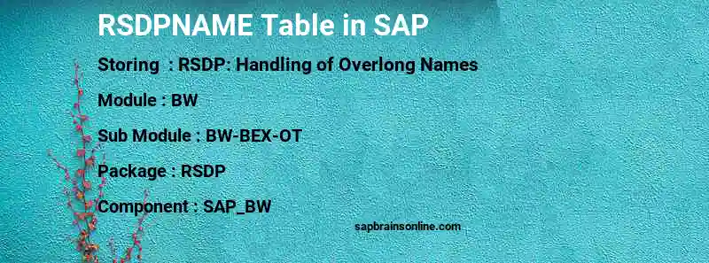 SAP RSDPNAME table