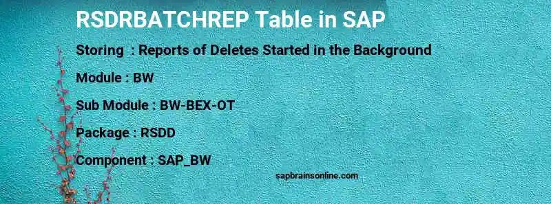 SAP RSDRBATCHREP table