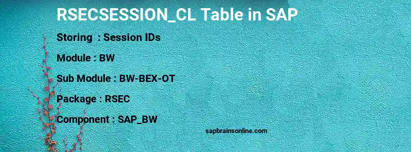 SAP RSECSESSION_CL table