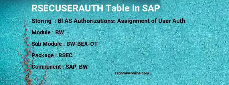 SAP RSECUSERAUTH table