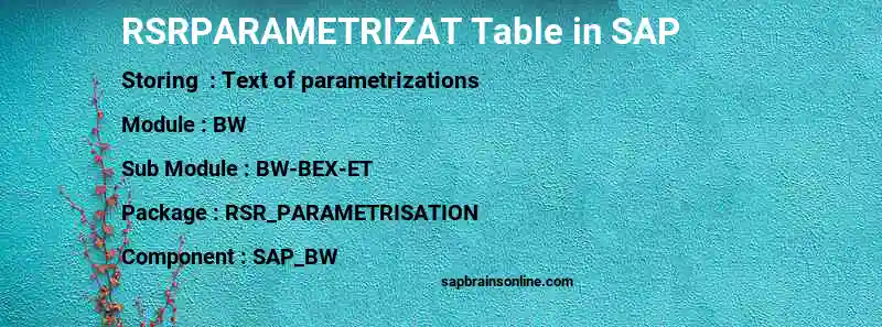 SAP RSRPARAMETRIZAT table