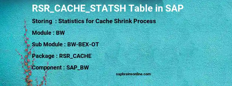 SAP RSR_CACHE_STATSH table