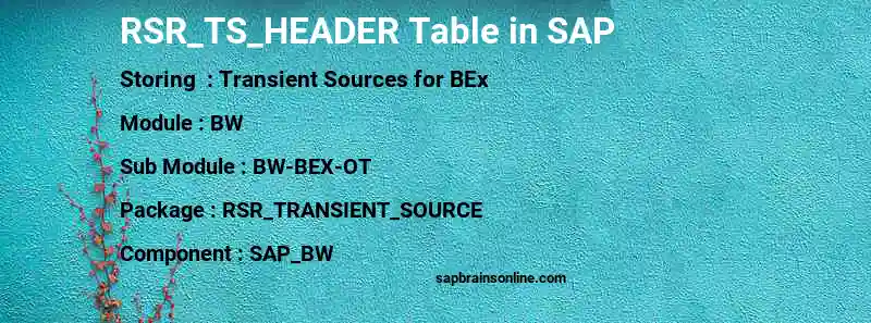 SAP RSR_TS_HEADER table