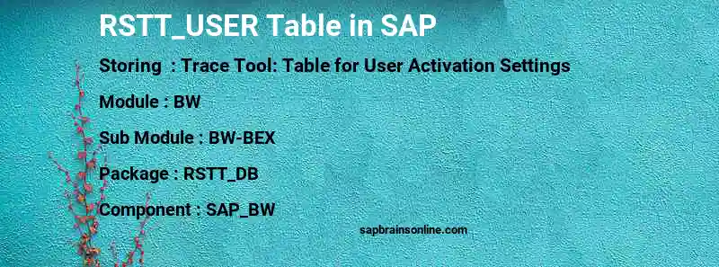 SAP RSTT_USER table