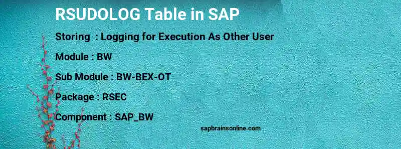 SAP RSUDOLOG table