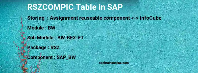 SAP RSZCOMPIC table