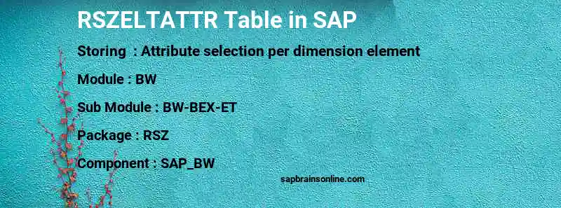 SAP RSZELTATTR table