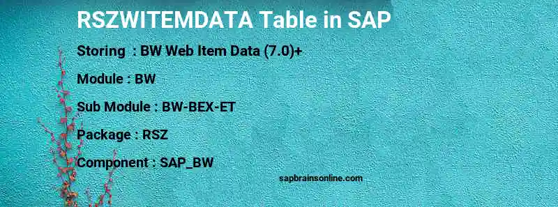 SAP RSZWITEMDATA table