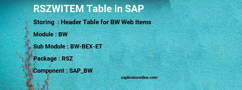 SAP RSZWITEM table