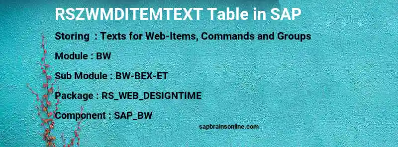 SAP RSZWMDITEMTEXT table