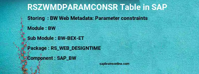 SAP RSZWMDPARAMCONSR table