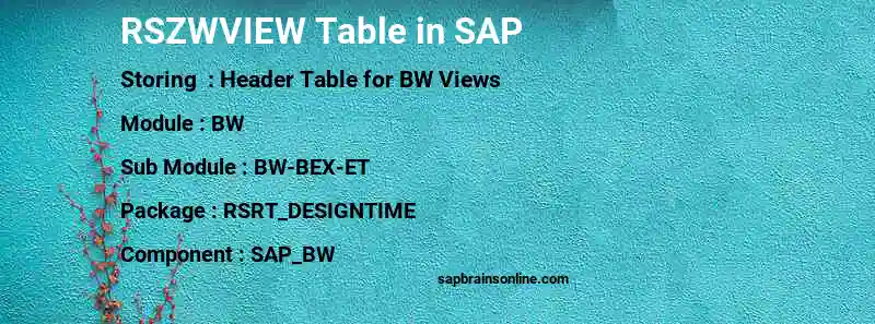 SAP RSZWVIEW table