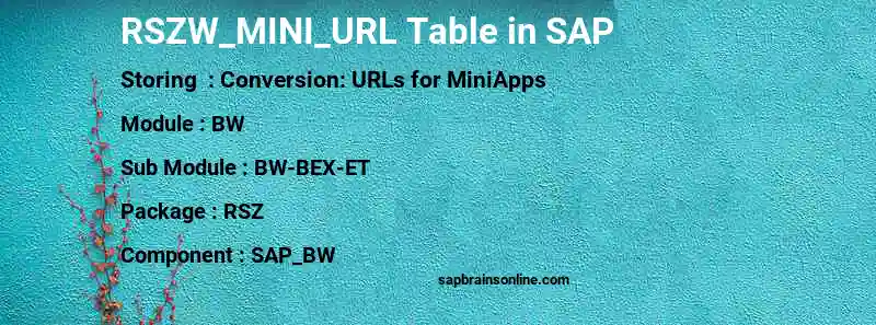 SAP RSZW_MINI_URL table