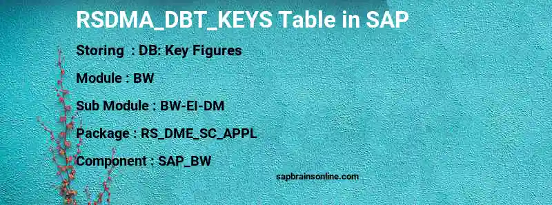 SAP RSDMA_DBT_KEYS table