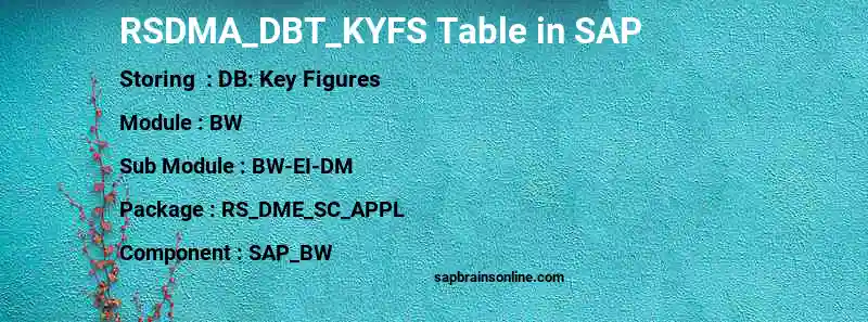 SAP RSDMA_DBT_KYFS table