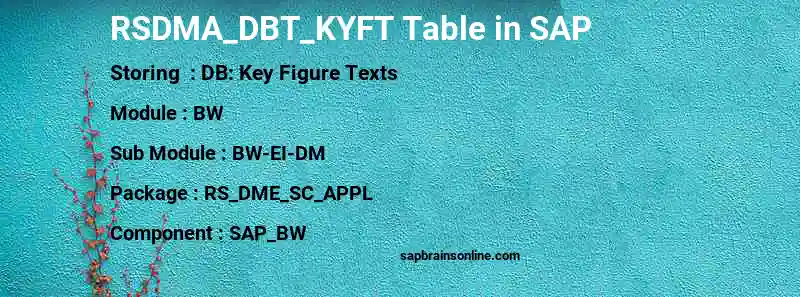 SAP RSDMA_DBT_KYFT table