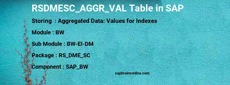 SAP RSDMESC_AGGR_VAL table