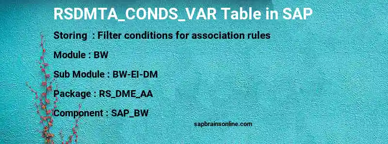 SAP RSDMTA_CONDS_VAR table