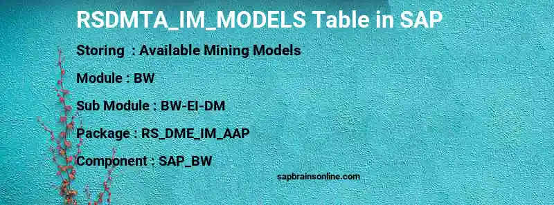 SAP RSDMTA_IM_MODELS table