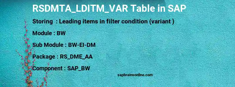 SAP RSDMTA_LDITM_VAR table