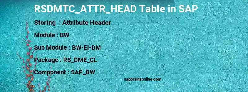 SAP RSDMTC_ATTR_HEAD table