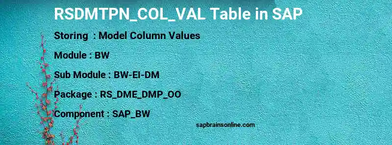 SAP RSDMTPN_COL_VAL table