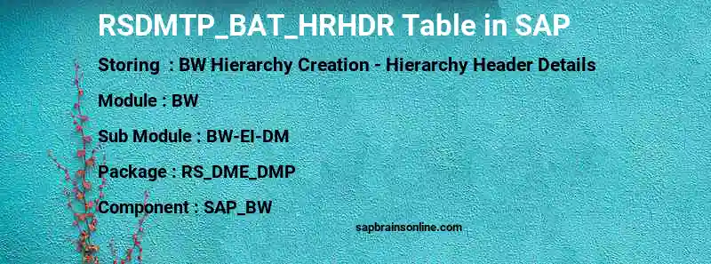SAP RSDMTP_BAT_HRHDR table