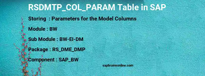 SAP RSDMTP_COL_PARAM table