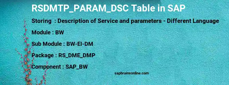 SAP RSDMTP_PARAM_DSC table