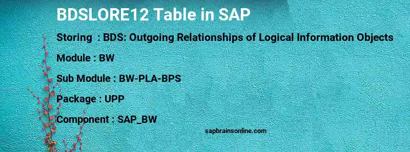 SAP BDSLORE12 table