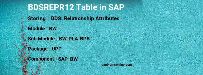 SAP BDSREPR12 table