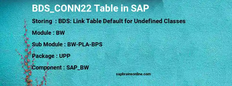 SAP BDS_CONN22 table
