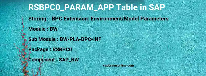 SAP RSBPC0_PARAM_APP table