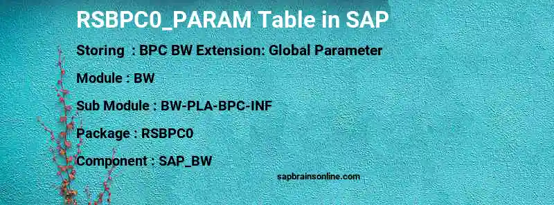 SAP RSBPC0_PARAM table