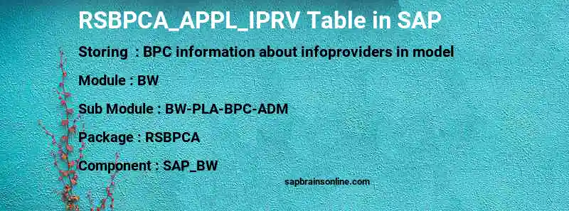 SAP RSBPCA_APPL_IPRV table