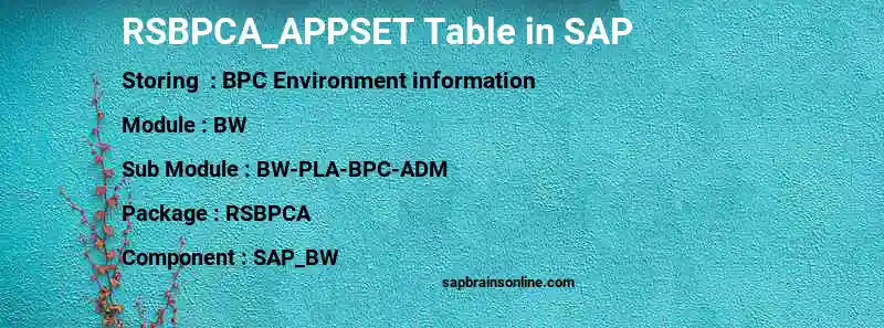 SAP RSBPCA_APPSET table