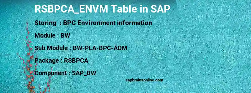 SAP RSBPCA_ENVM table
