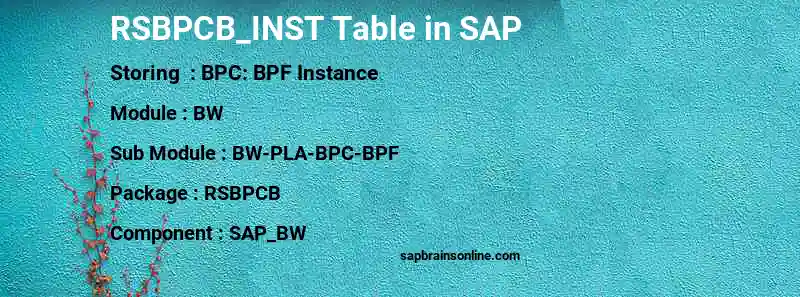 SAP RSBPCB_INST table