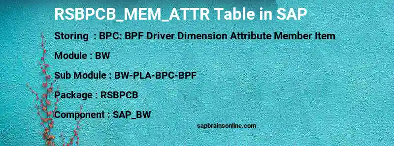 SAP RSBPCB_MEM_ATTR table