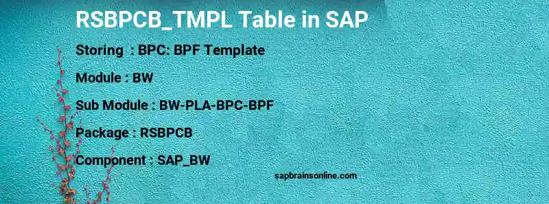SAP RSBPCB_TMPL table