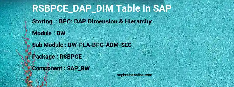 SAP RSBPCE_DAP_DIM table