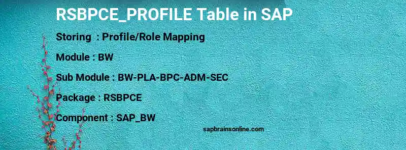 SAP RSBPCE_PROFILE table