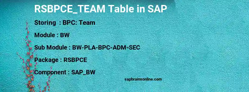 SAP RSBPCE_TEAM table