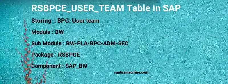 SAP RSBPCE_USER_TEAM table