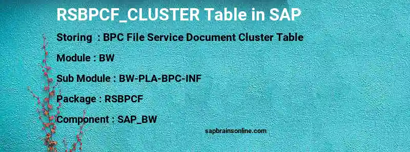 SAP RSBPCF_CLUSTER table
