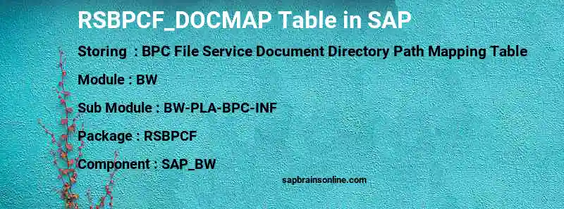 SAP RSBPCF_DOCMAP table