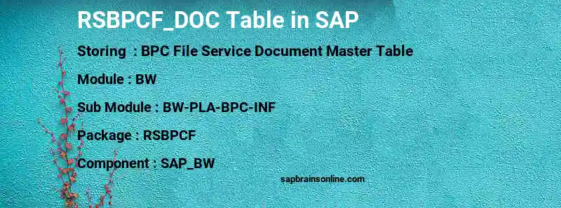 SAP RSBPCF_DOC table
