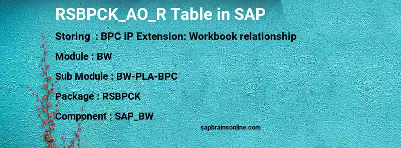 SAP RSBPCK_AO_R table