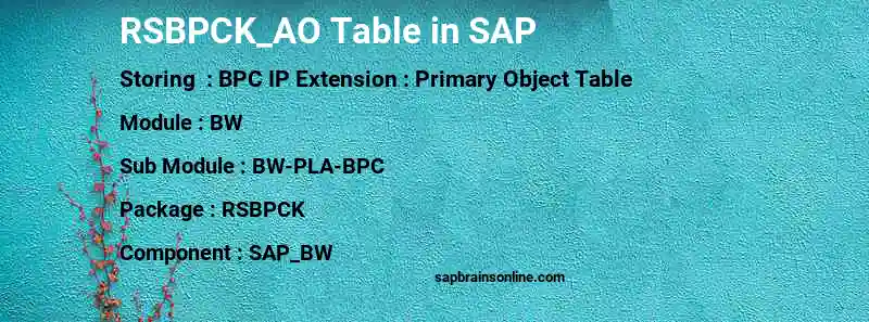 SAP RSBPCK_AO table
