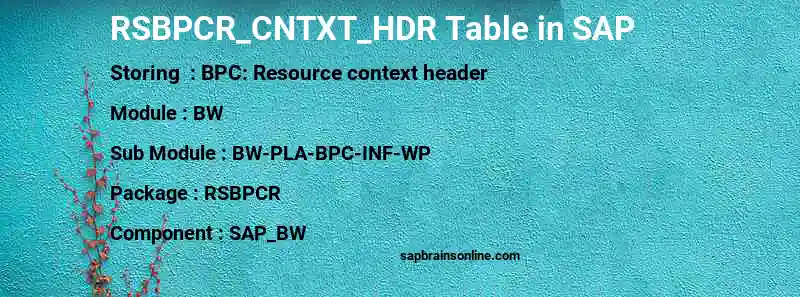 SAP RSBPCR_CNTXT_HDR table